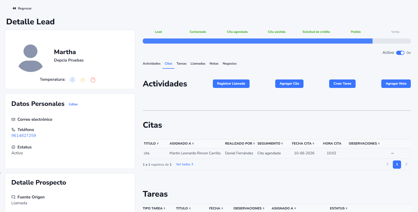 Detalles de leads CRM